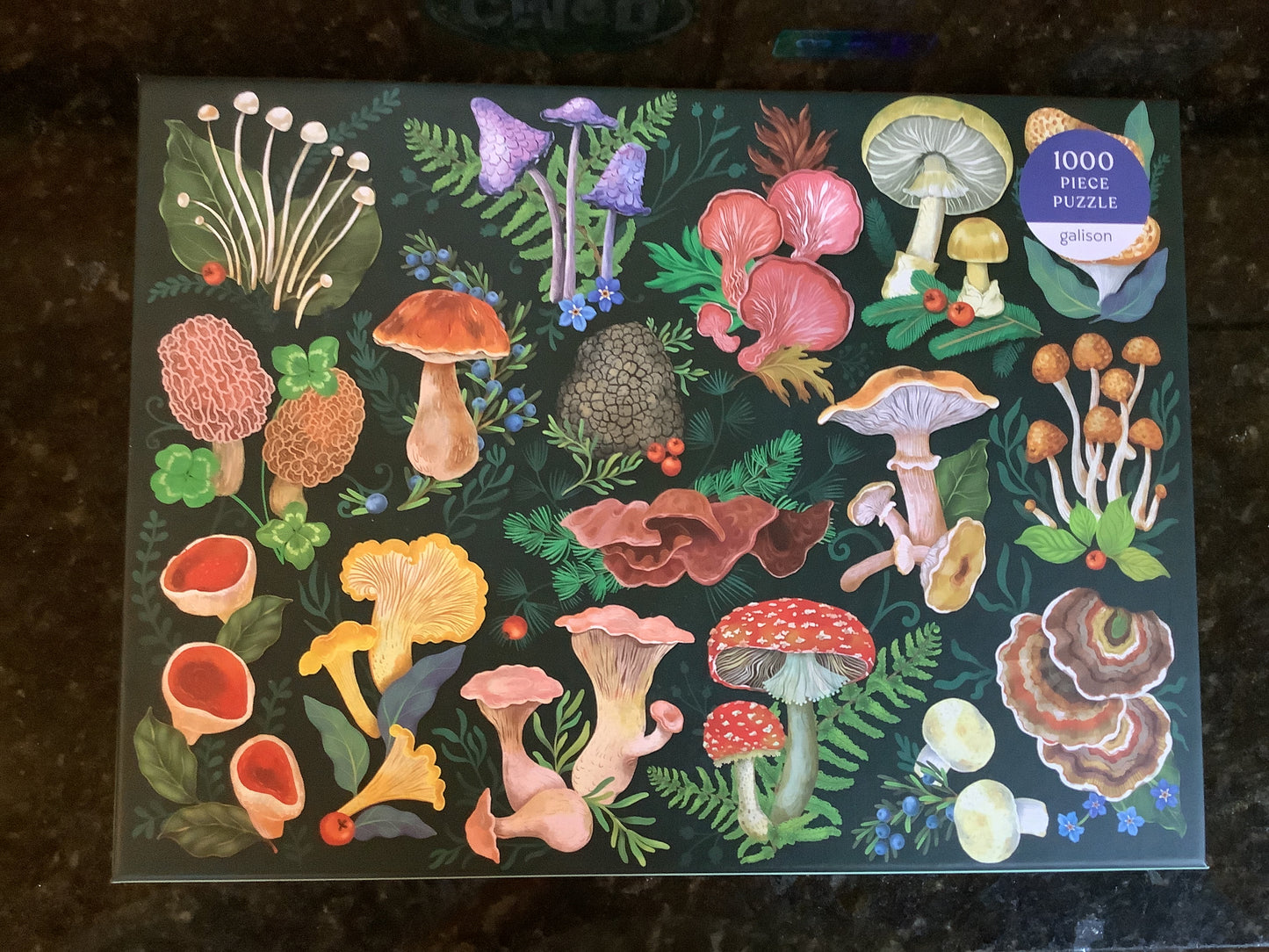 1000 piece Puzzle