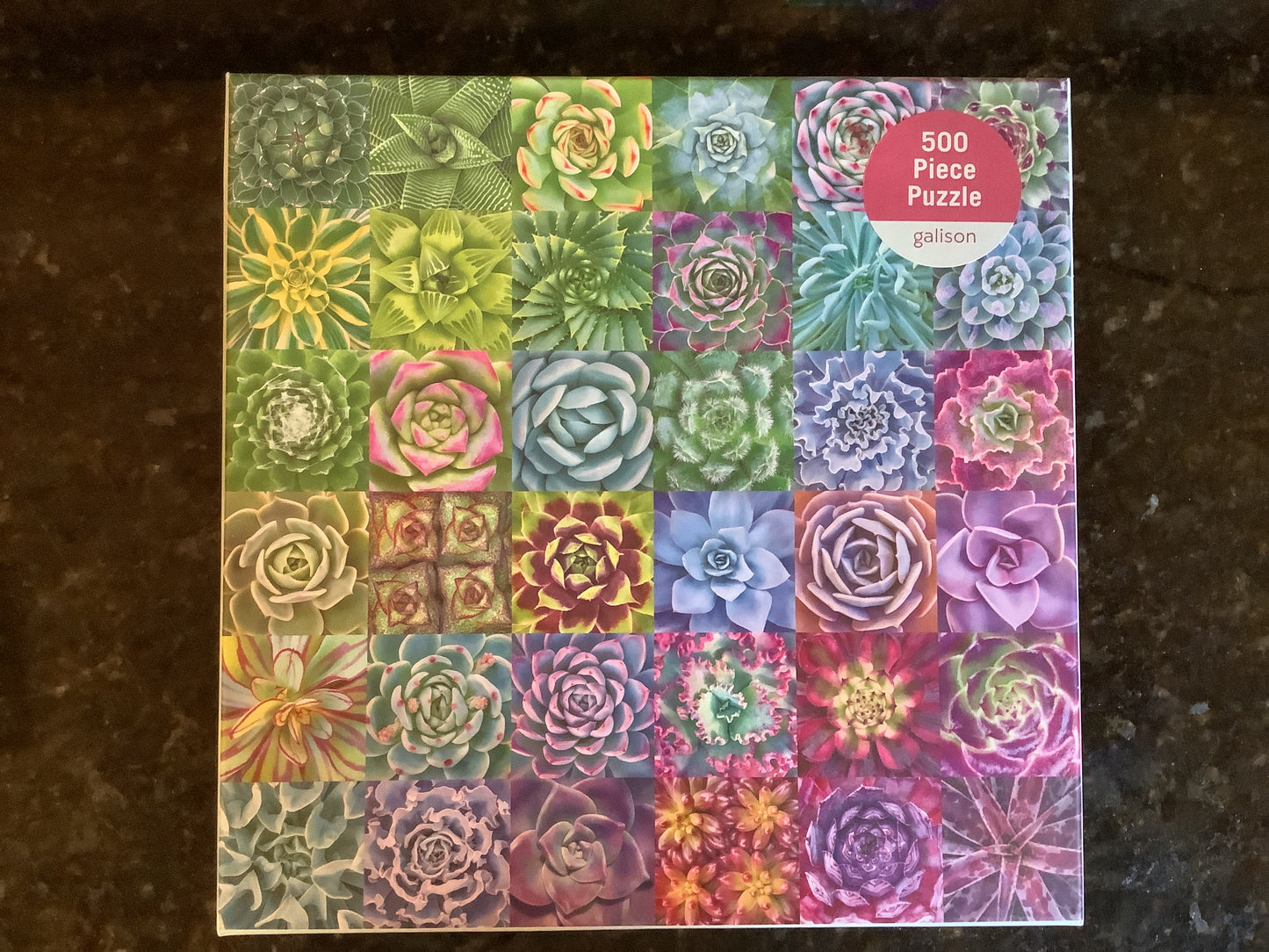 500 piece Puzzle