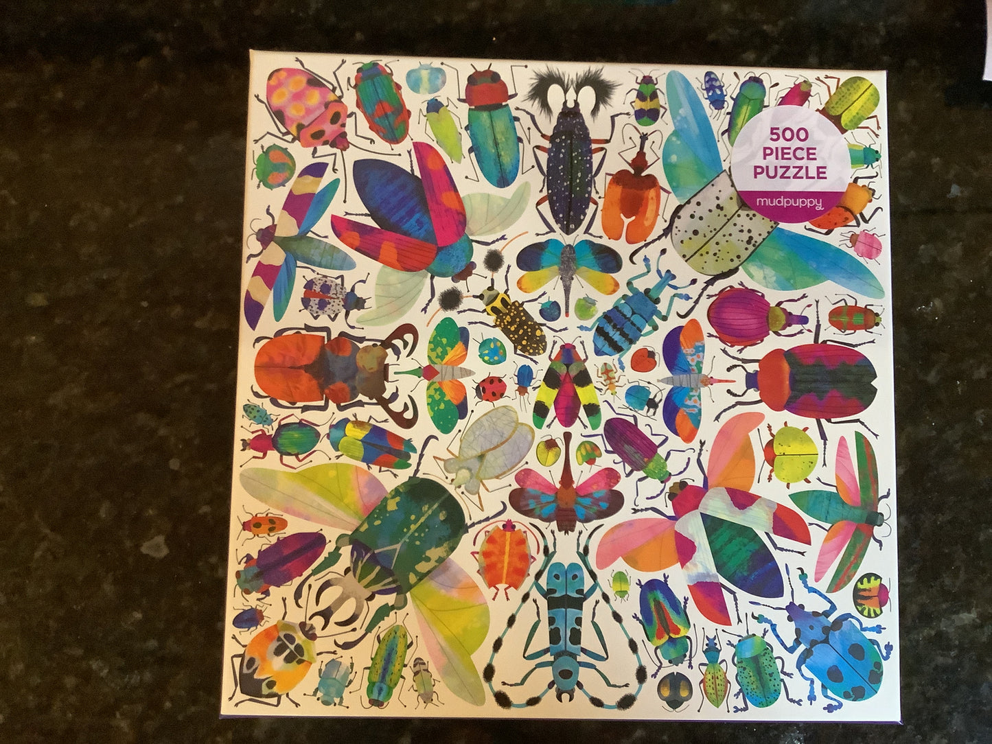 500 piece Puzzle