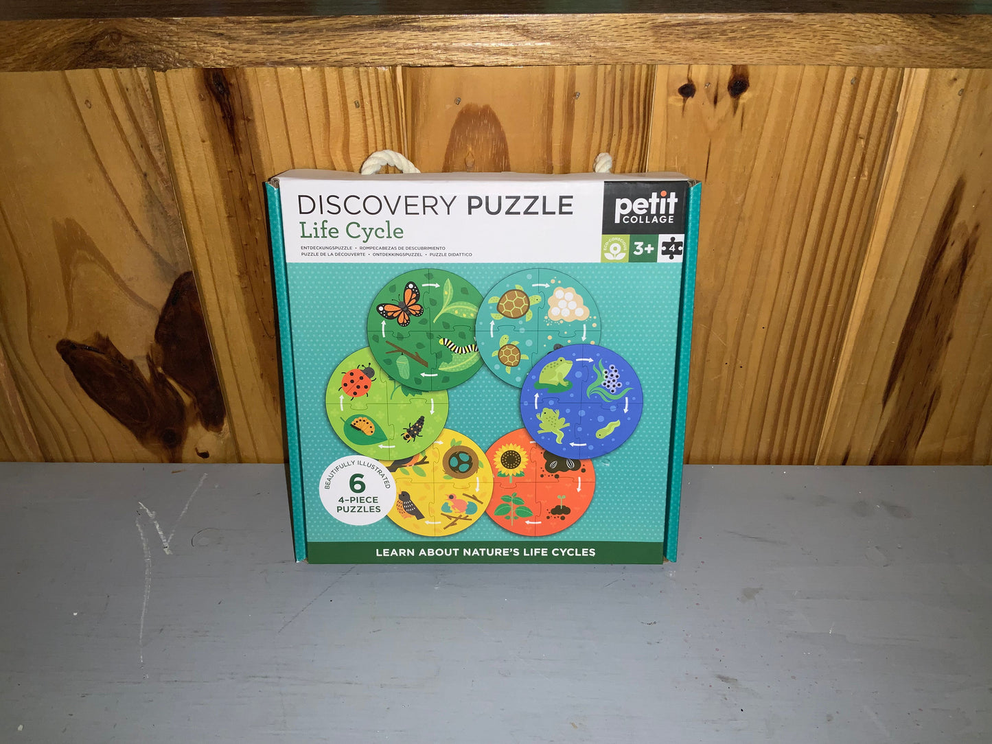 Life Cycle Puzzle