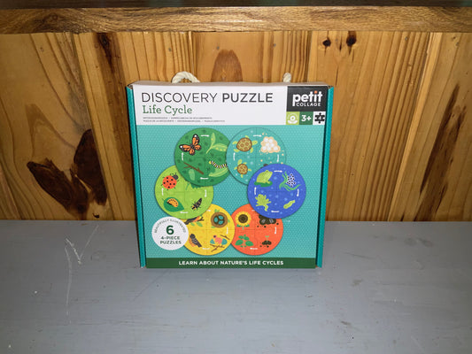Life Cycle Puzzle