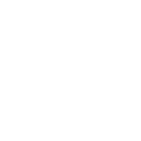 Camp McDowell 