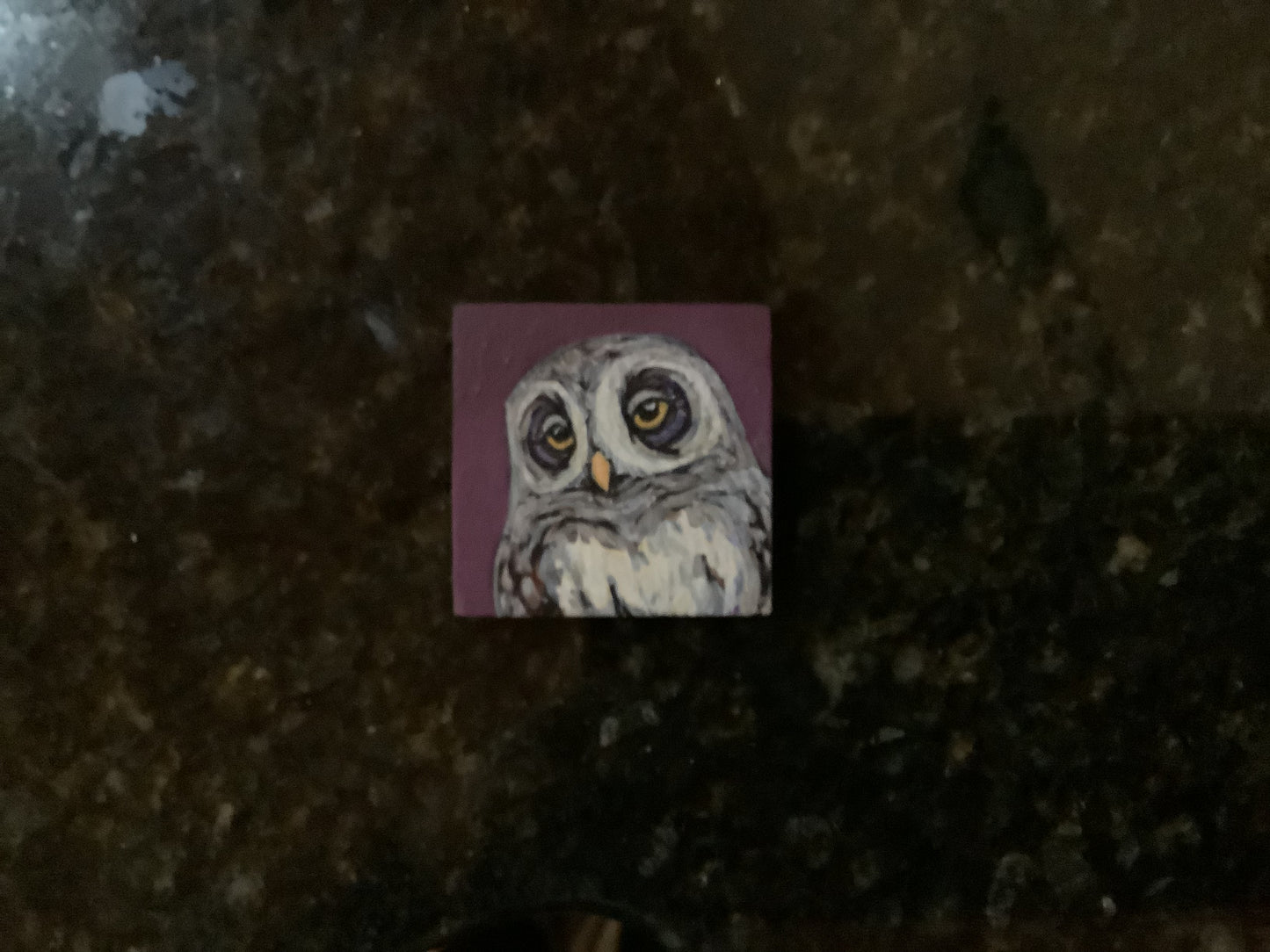 Laura Tucker Magnets