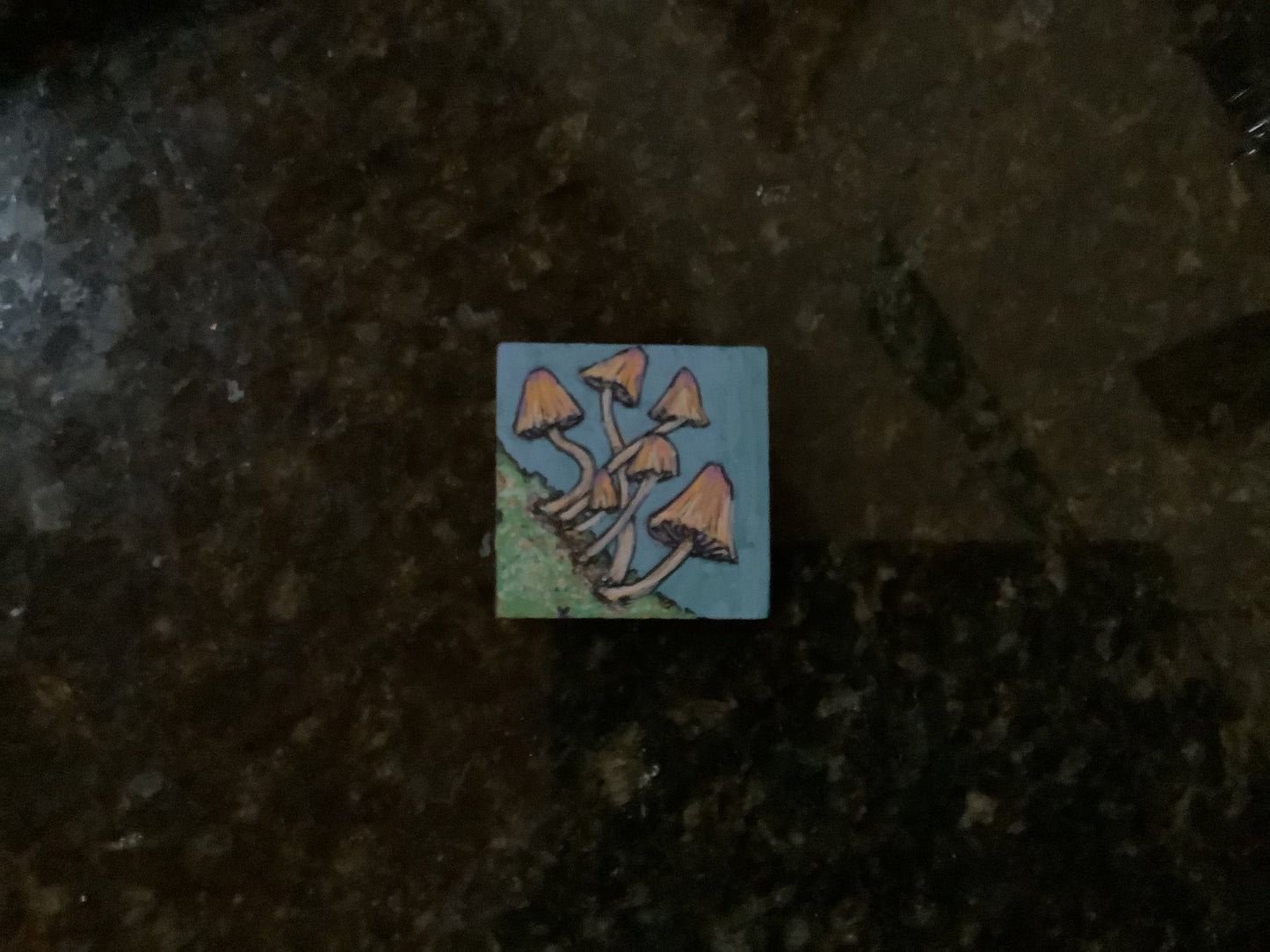 Laura Tucker Magnets
