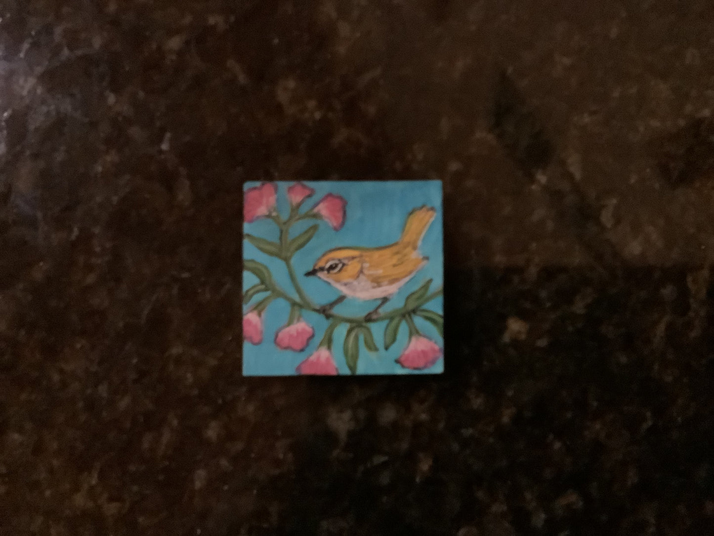 Laura Tucker Magnets