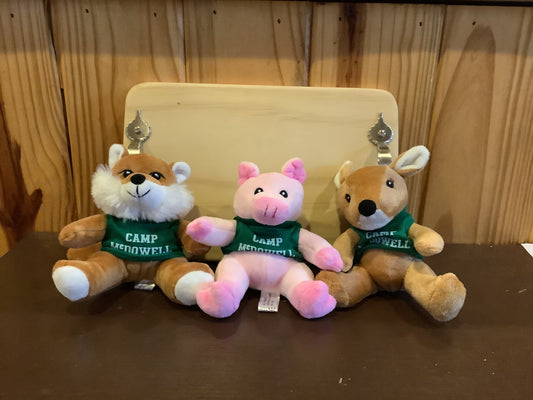 Camp Critter